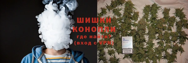 шишки Верея
