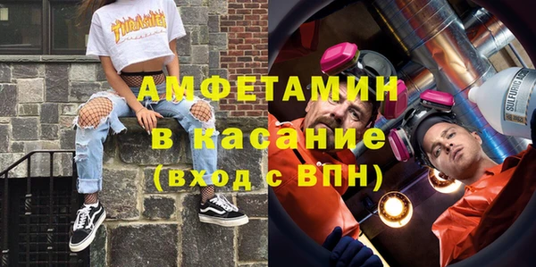 шишки Верея
