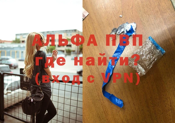 шишки Верея