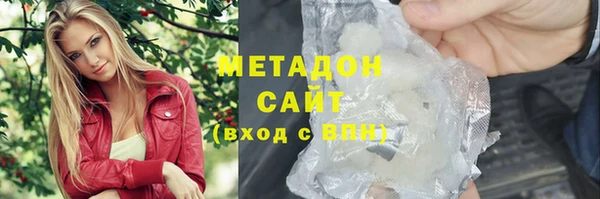 шишки Верея