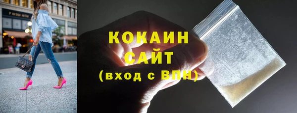шишки Верея