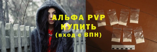 прущие грибы Верхнеуральск