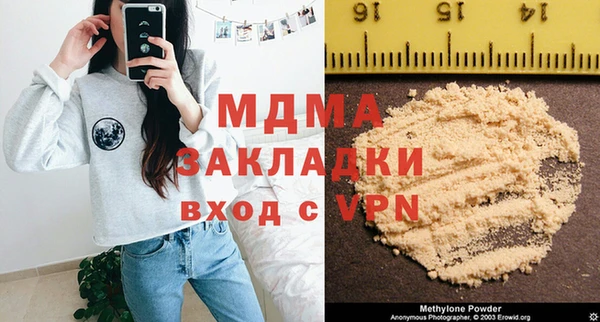 шишки Верея
