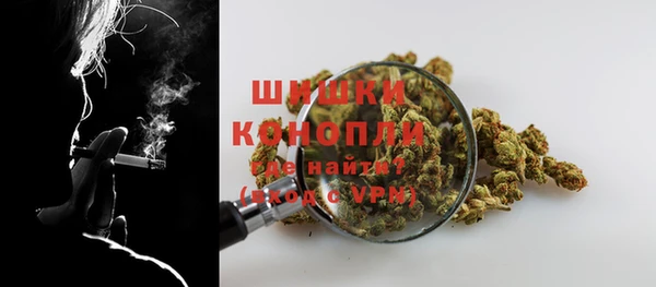 шишки Верея