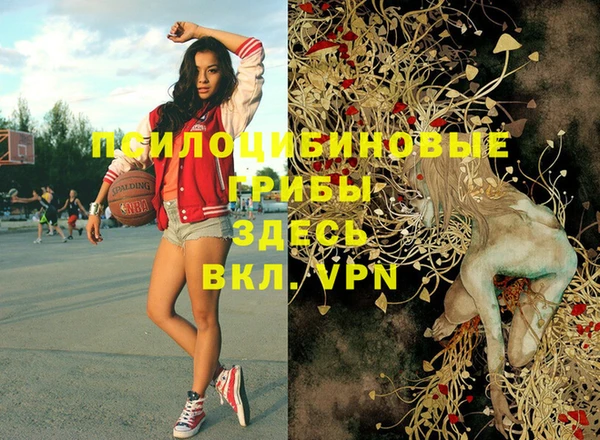 шишки Верея
