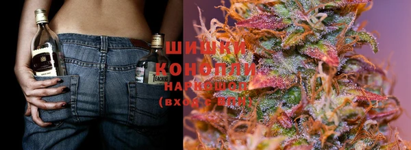 прущие грибы Верхнеуральск