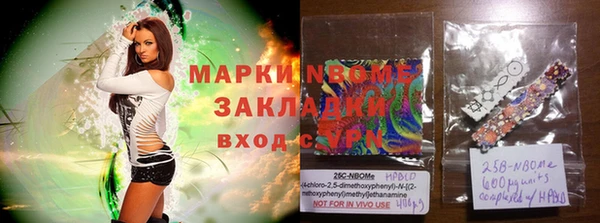 прущие грибы Верхнеуральск